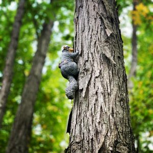 120806060_3227981933966844_695114252068578976_n