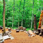 BMK treehouse